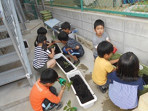 DSCN0701