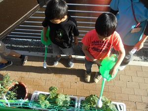 DSCN0778