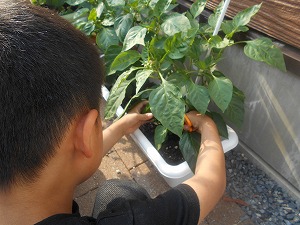 DSCN0859