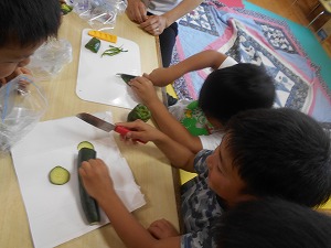 DSCN0867
