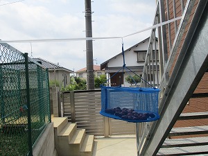 IMG_0233